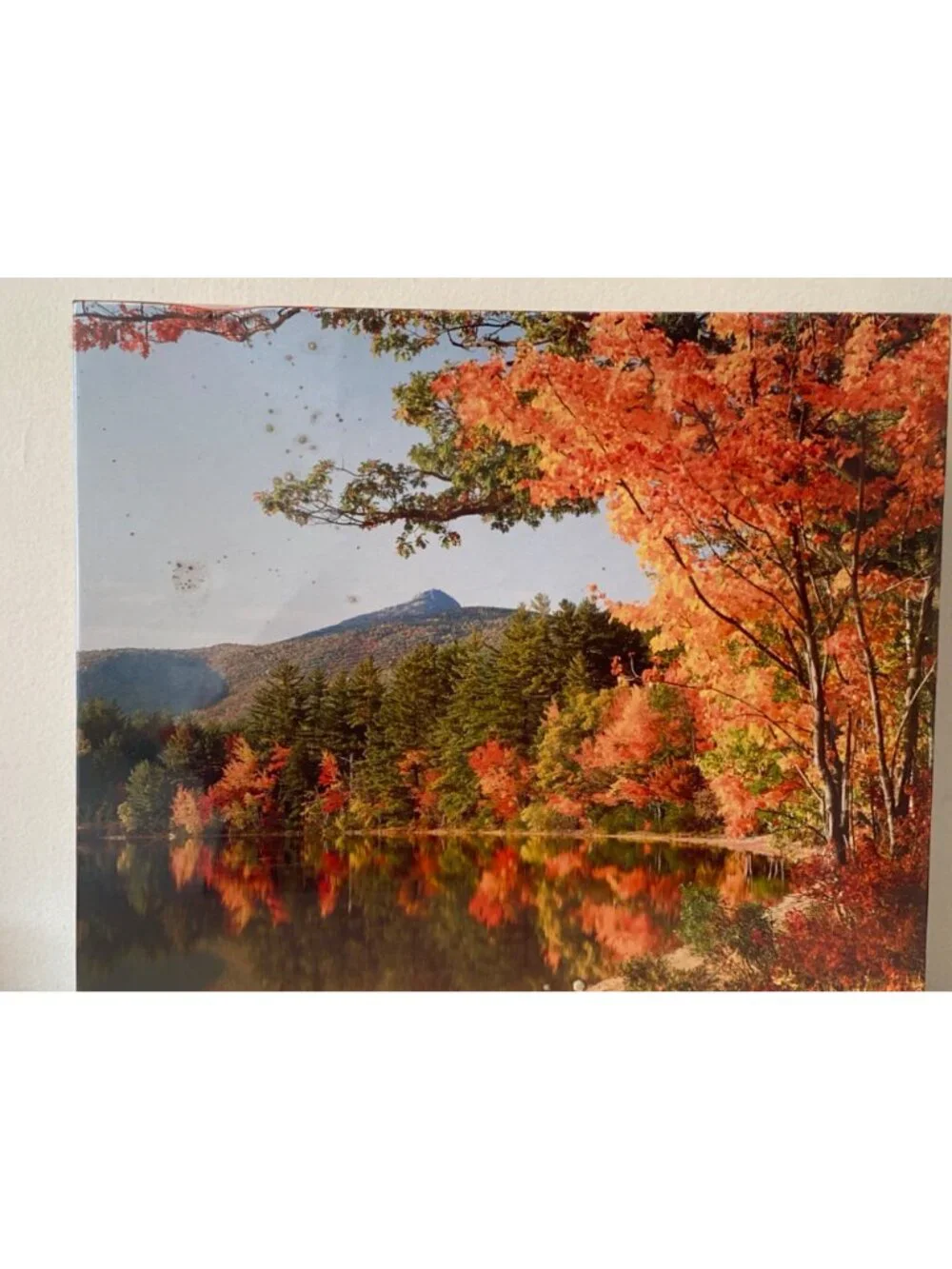 HALLMARK SPRINGBOK JIGSAW 2000 PCS PUZZLE FALL FOLIAGE TREES LAKE SEALED NIB